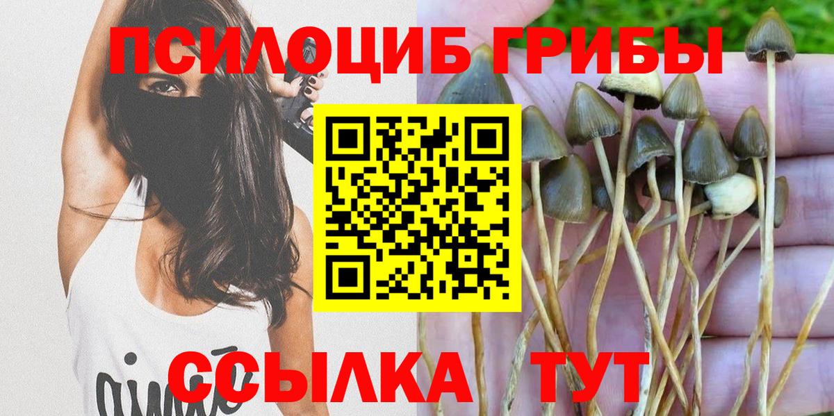 Галлюциногенные грибы мицелий Псков