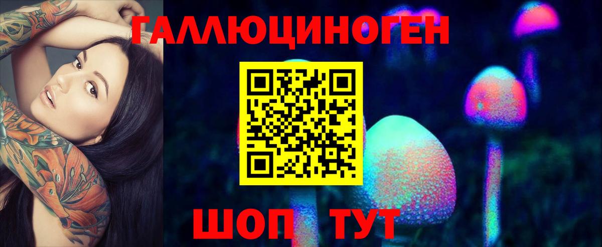 Псков  Псилоцибиновые грибы Cubensis  Вход с VPN 
